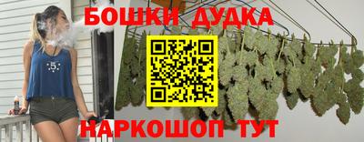 гидра Новодвинск