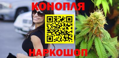 гидра Новодвинск
