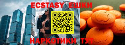 гидра Новодвинск