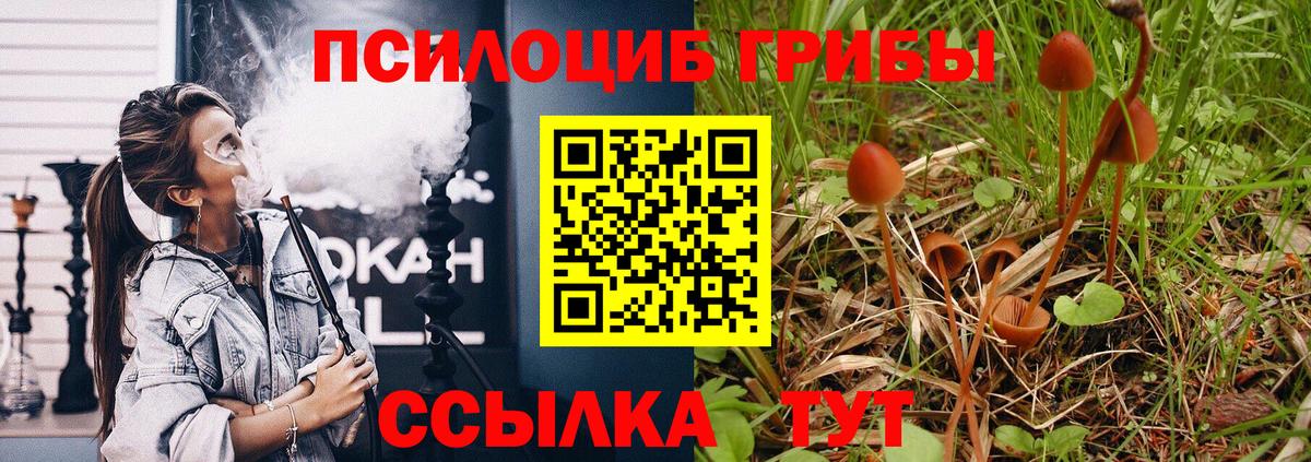 Псилоцибиновые грибы Cubensis  Вход с VPN  Полевской 